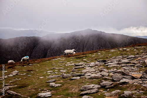 Walking up the Old Man Of Coniston in the Lake district in Cumbria. photo