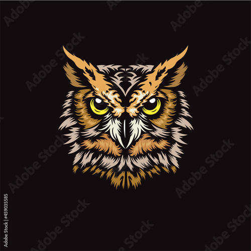 abstract owl head Vector illustration