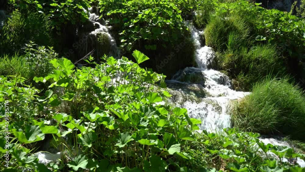 Small waterfalls among the trees on the Plitvice Lakes in the National Park in Croatia. Mountain waterfall beats in small streams around a huge stone in the moss Small waterfalls among the trees on the Plitvice Lakes in the National Park in Croatia. Mountain waterfall beats in small streams around a huge stone in the moss