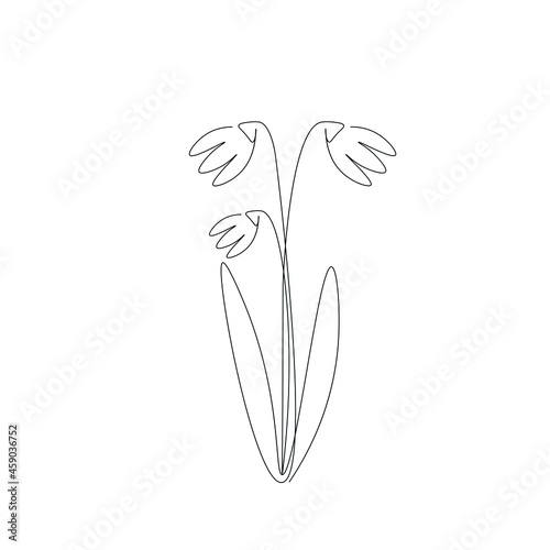 Spring flower snowdrop line drawing vector illustration