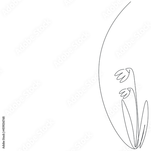 Spring flower snowdrop line drawing vector illustration