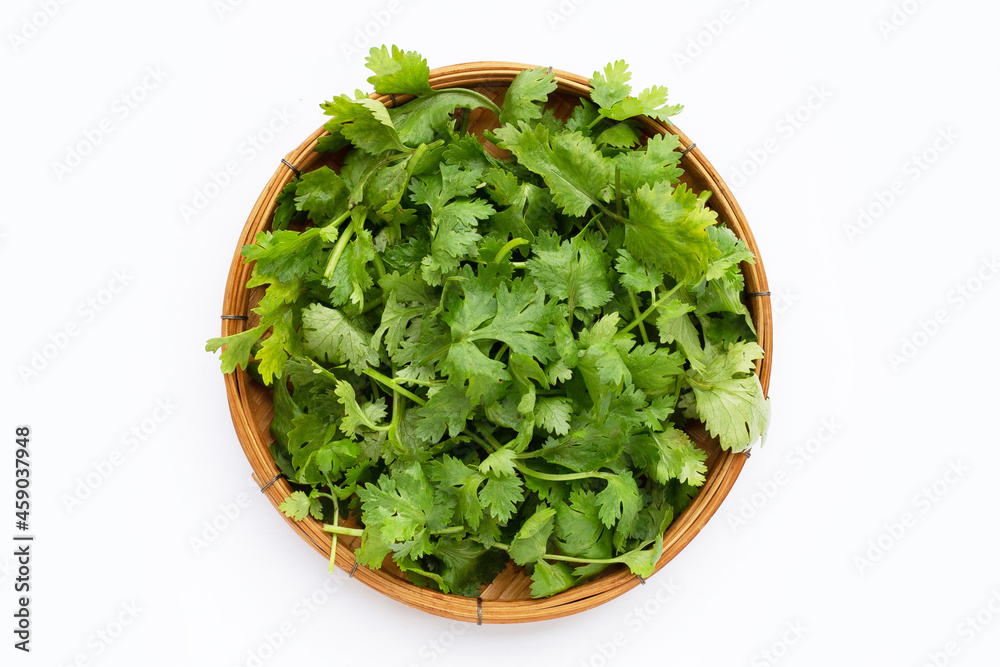 Fresh coriander leaves on white background. Fresh coriander leaves on white background.