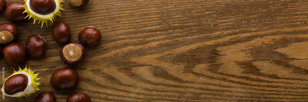 Fresh chestnuts on dark brown wooden table background. Closeup. Wide banner. Empty place for inspirational text, quote or sayings. Top down view. Fresh chestnuts on dark brown wooden table background. Closeup. Wide banner. Empty place for inspirational text, quote or sayings. Top down view.