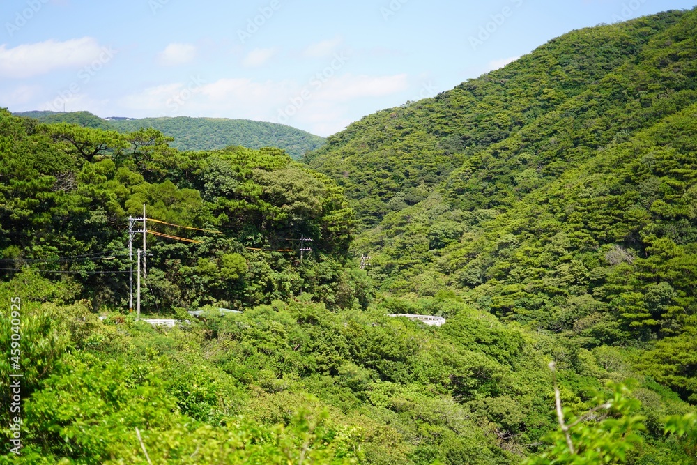 沖縄県渡嘉敷島の緑の多い山の風景