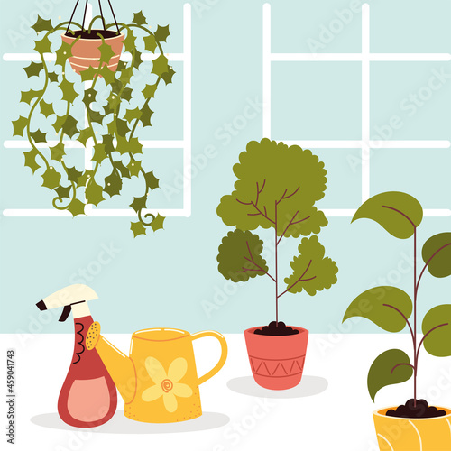houseplants care in the home