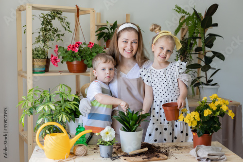 mother with her son and daughter in fasting plant or transplant indoor flowers. Little helper by chores. Concept of spring time, home gardening, child house-help, caring houseplants, lifestyle. photo