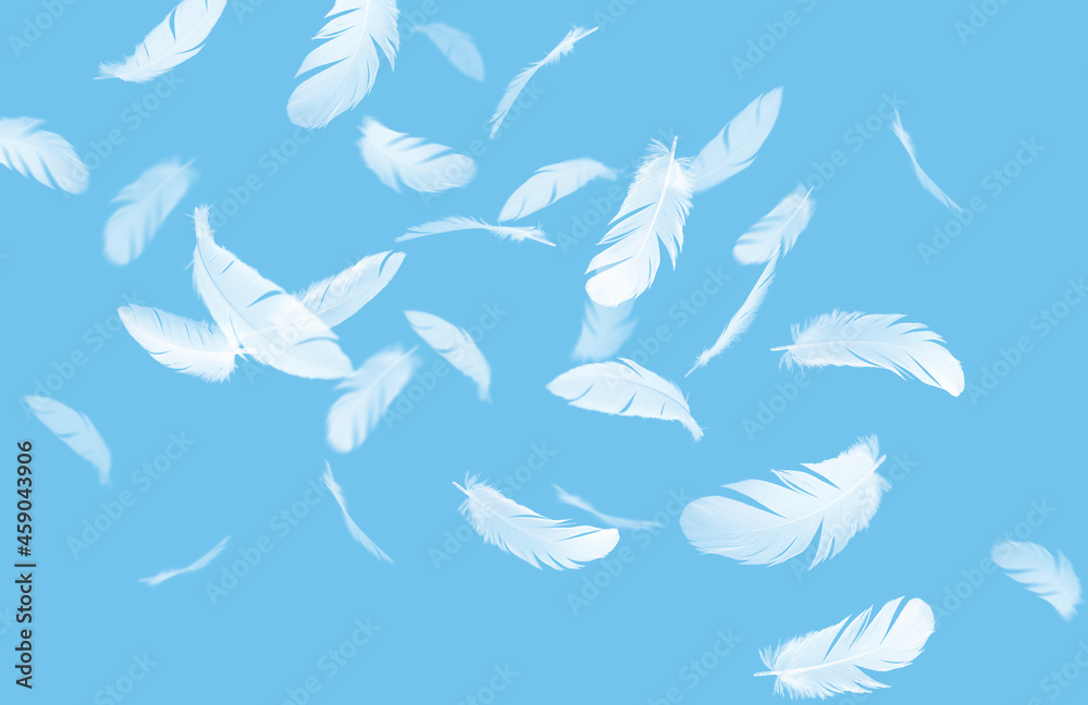 Abstract Group of White Feathers Floating in The Sky. Feathers Flying Abstract Group of White Feathers Floating in The Sky. Feathers Flying