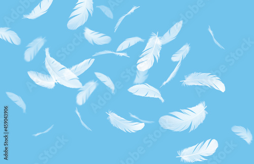 Abstract Group of White Feathers Floating in The Sky. Feathers Flying 