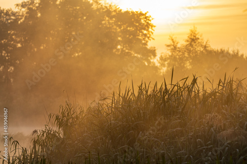early morning mist and fog creating out of focus atmospheric background of a wetlands countryside water scene