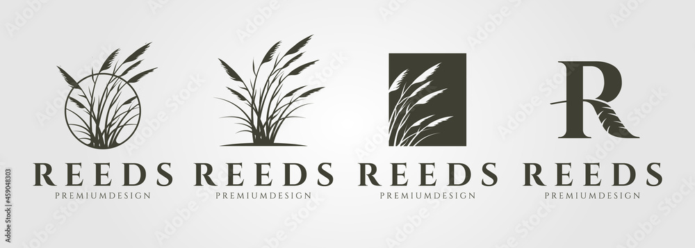 set of vector reed or cattail vintage logo vector illustration design - obrazy, fototapety, plakaty 