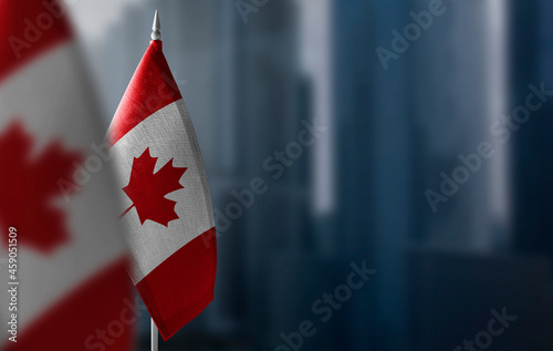 Small flags of Canada on a blurry background of the city photo