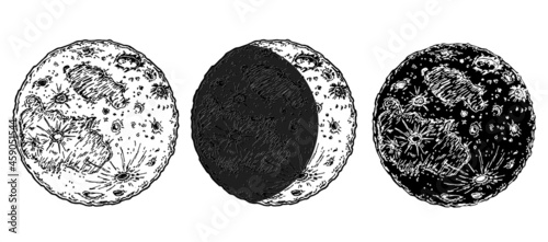Moon phases. sketch Hand drawn vector illustration