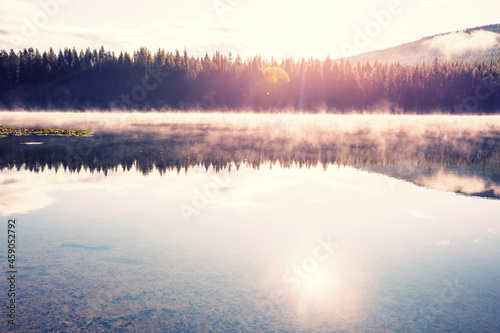 Fog on the lake © Galyna Andrushko