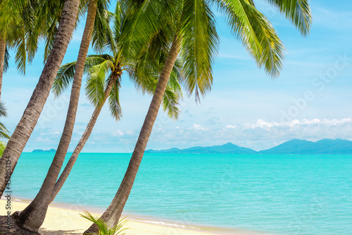 Fototapeta Naklejka Na Ścianę i Meble -  Tropical beach landscape, exotic island view, turquoise sea water, ocean wave, green palm tree leaves, yellow sand, blue sunny sky, white clouds, beautiful nature, summer holidays, vacation, travel