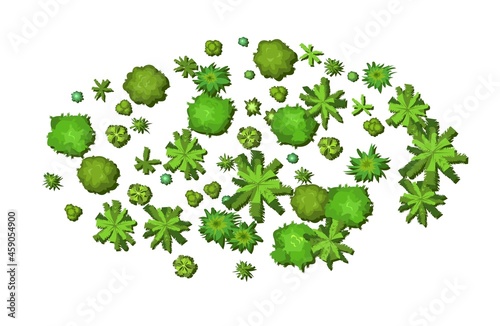 Small forest with height. Park with trees. View from above. Plant landscape. Island. Green wildlife. Top view. Background illustration in cartoon style. Isolated Vector