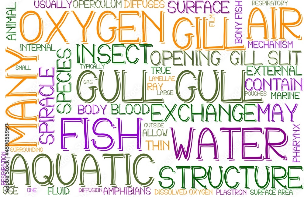 Gull Wordcloud Banner, Wallpaper, Background, Book Cover, Wordart