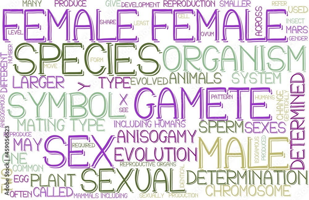 Female Wordcloud Banner, Wallpaper, Background, Book Cover, Wordart