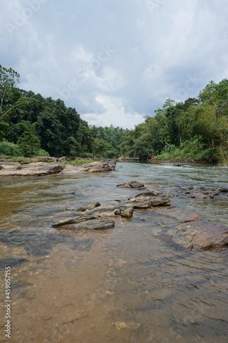 river in the woods Kelani river Sri Lanka