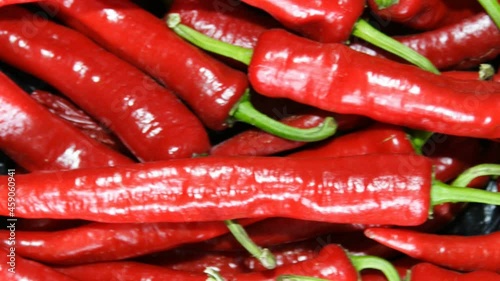 Red chili pepper in the hands.