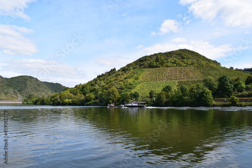 Weinbergshügel an der Mosel in Treis-Karden