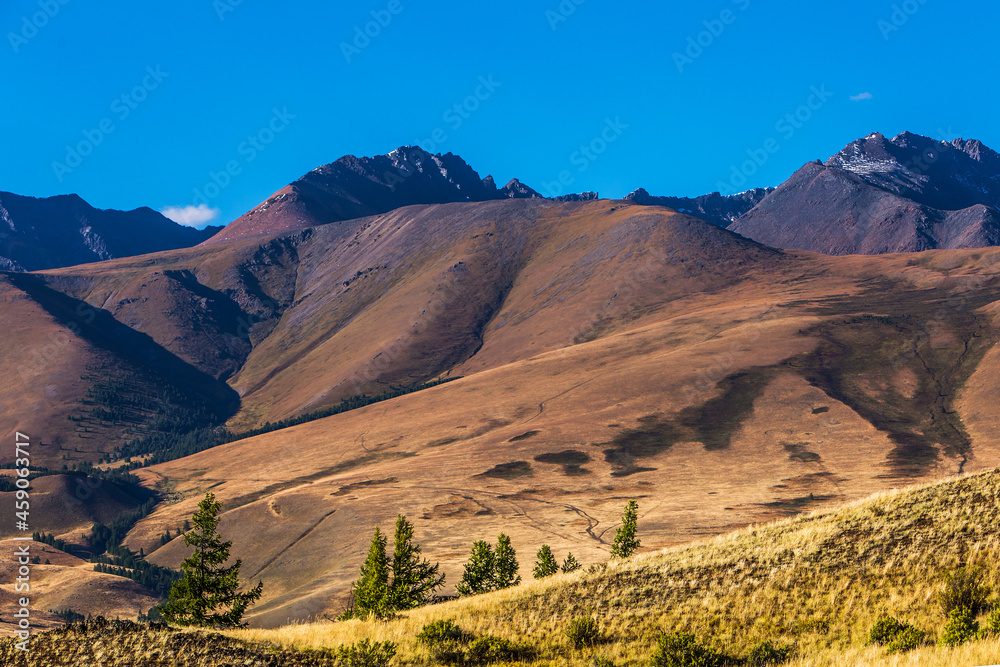 Mountain landscape near the village of Kurai. Kosh-Agachsky district of the Altai Republic, Russia