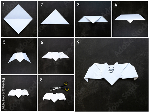 Billede på lærred Step-by-step photo instruction origami bat