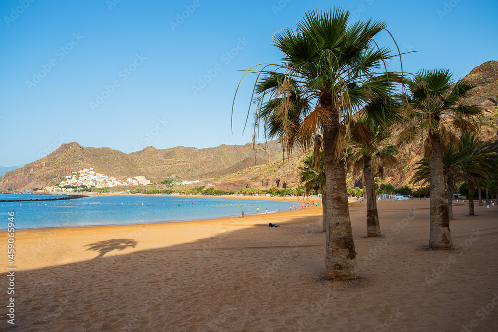 View of Playa de Las Teresitas  with gold sand and plams tree located near the village San Andrés in Tenerife, Canary Islands, Spain.