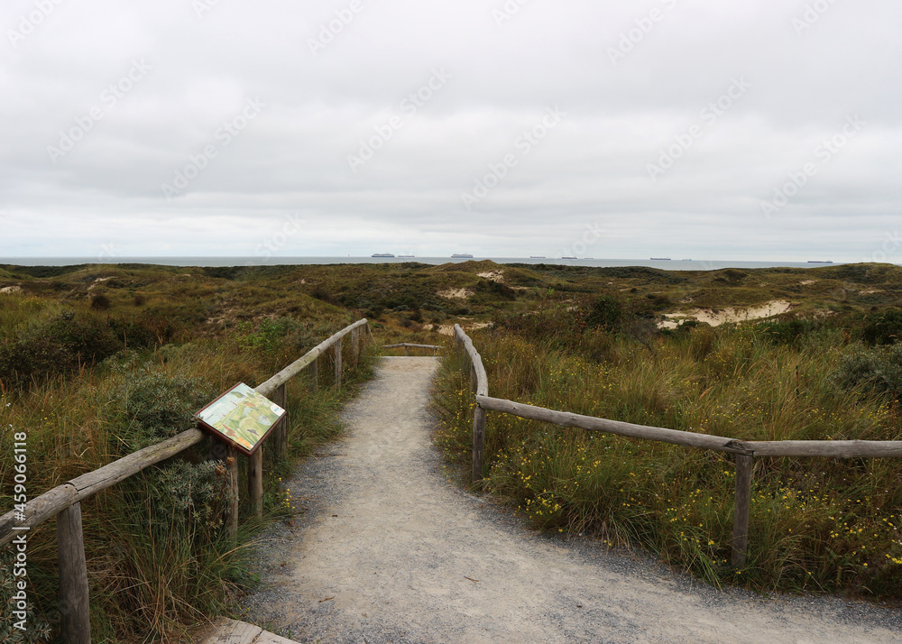Aussichtspunkt in den Ostdünen von Scheveningen mit Blick auf die Nordsee mit Schiffen Aussichtspunkt in den Ostdünen von Scheveningen mit Blick auf die Nordsee mit Schiffen