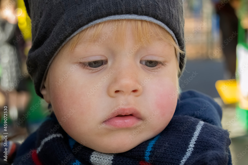 Portrait of a boy in an autumn park Portrait of a boy in an autumn park