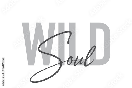 Modern, simple, minimal typographic design of a saying "Wild Soul" in tones of grey color. Cool, urban, trendy and playful graphic vector art with handwritten typography.