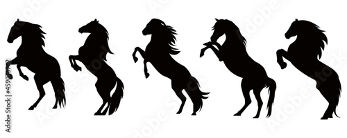Fotografie, Tablou Set black horse on hind legs silhouette on white background vector