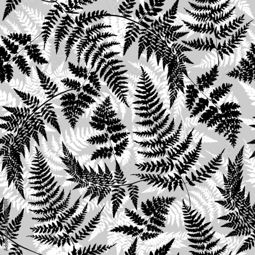 Fern seamless pattern. Black-white vegetative background. A repeating silhouette of plants and herbs. Natural mood for printing on fabric or paper.