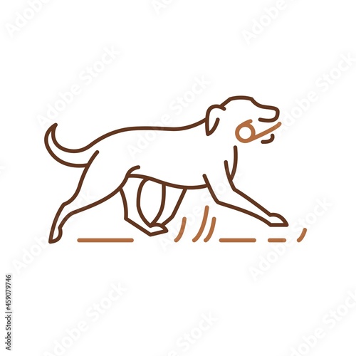 Running dog icon  pets symbol  retriever playing with stick. Outline vector illustration for logo identity