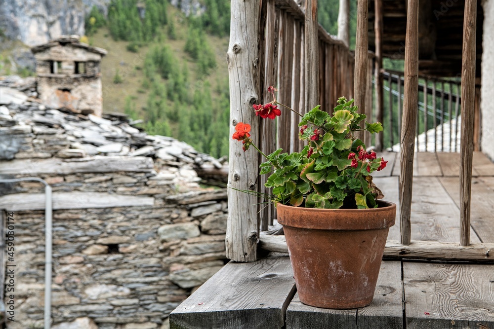 Stillleben - Blumentopf mit Blumen - eine Dekoration in einem der alten Dörfer des Valle Maira im  Piemont, 