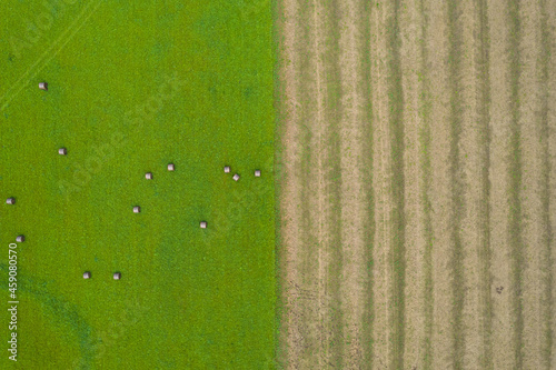 Aerial drone view shoot of abstract geometric shapes of green farm lawn with straw bales and maize or corn plowed field. Agricultural parcels in autumn or summer. Harvesting arable land, crop season