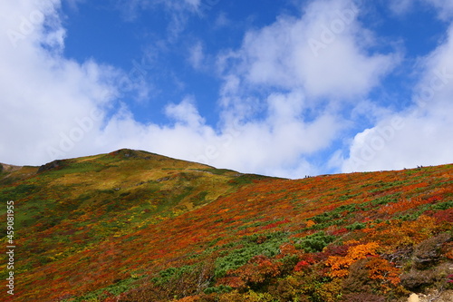 栗駒山の紅葉。栗原、宮城、日本。10月上旬。 © 義美 前田