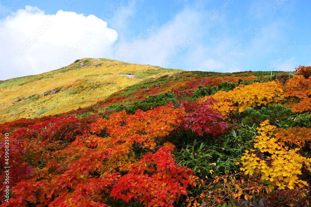 栗駒山の紅葉。栗原、宮城、日本。10月上旬。