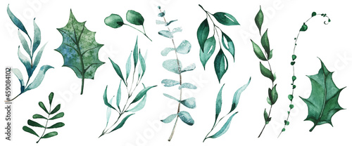 Isolated Christmas evergreen branch, holly leaves, eucalyptus, greenery etc. Traced vector watercolor set. Hand drawn illustration collection on white background. Water colour drawing.