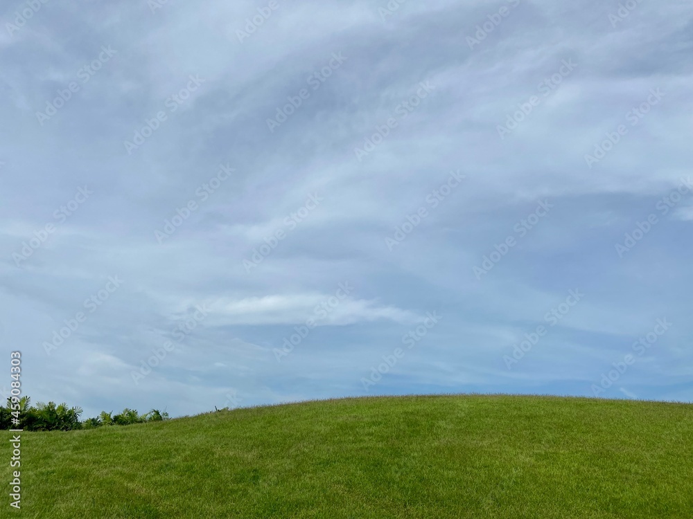 green grass and blue sky