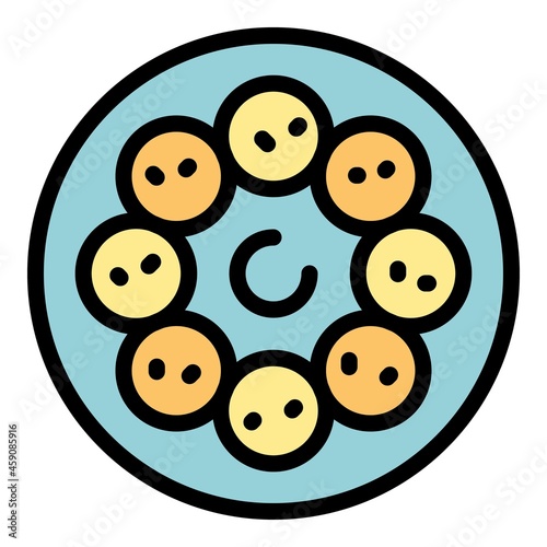 Falafel plate icon. Outline falafel plate vector icon color flat isolated