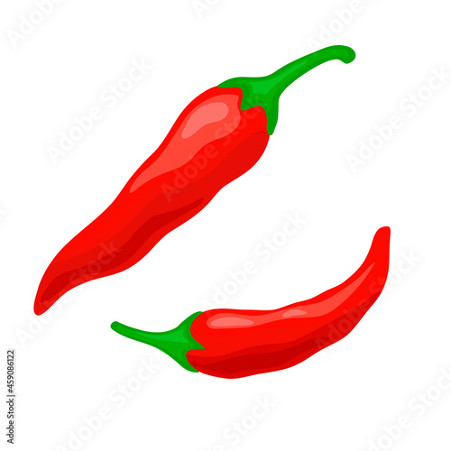 Pair red chili pepper vector illustration. Isolated white background. Spicy seasoning for cooking in kitchen.