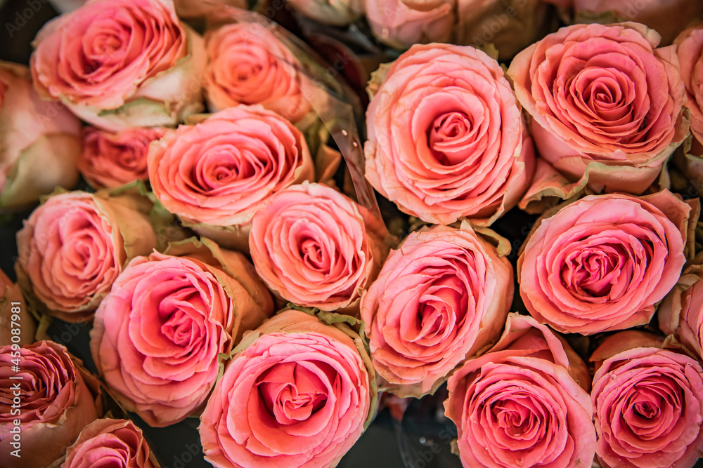 bouquet of roses bouquet of roses