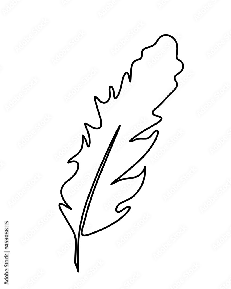 Silhouette of abstract feather as line drawing on white. Vector Silhouette of abstract feather as line drawing on white. Vector