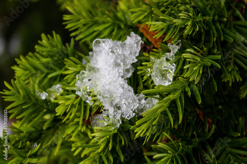 christmas tree decoration