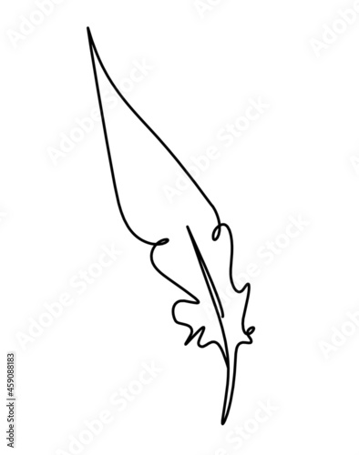 Silhouette of abstract feather as line drawing on white. Vector