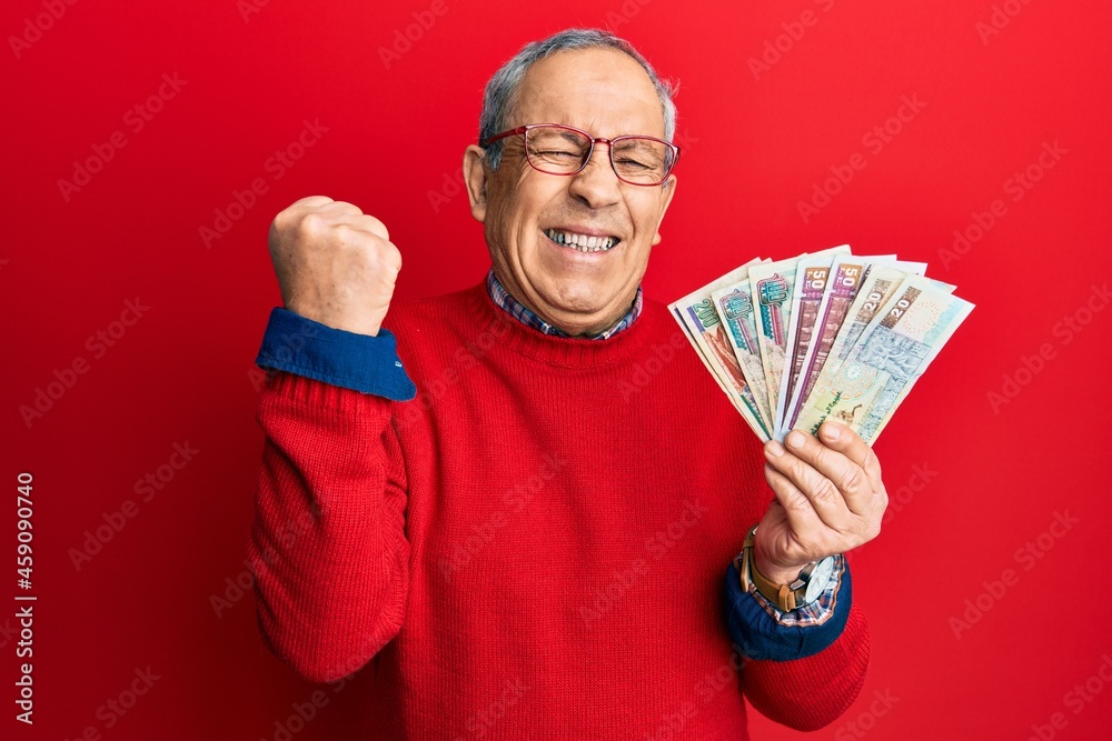 Handsome senior man with grey hair holding egyptian pounds banknotes screaming proud, celebrating victory and success very excited with raised arm - obrazy, fototapety, plakaty 