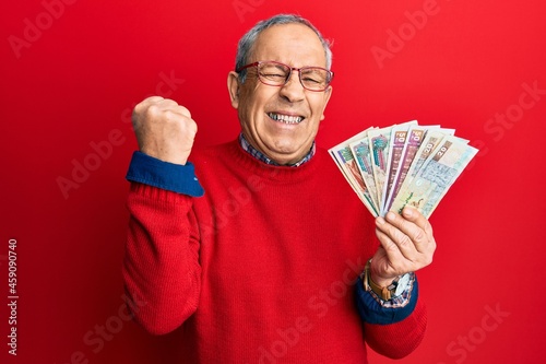 Handsome senior man with grey hair holding egyptian pounds banknotes screaming proud, celebrating victory and success very excited with raised arm photo