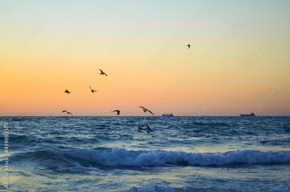 Fototapeta premium A slightly stormy sea with gulls above it, ships can be seen in the distance