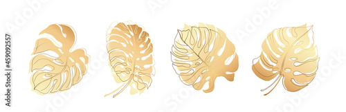 Set golden leaves. Silhouettes of shiny monstera leaves with beautiful lines. The illustration is decorated in a modern minimalist style. On white background. Vector file