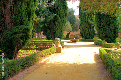 jardin andalou photo